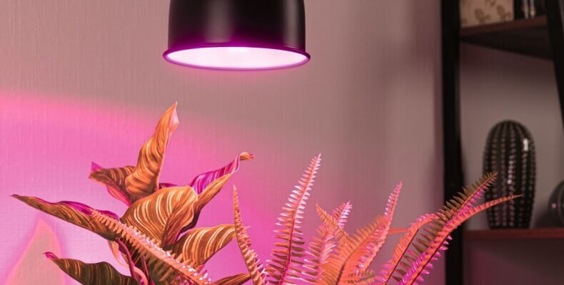 Pflanzenlampe für Pflanzenwachstum